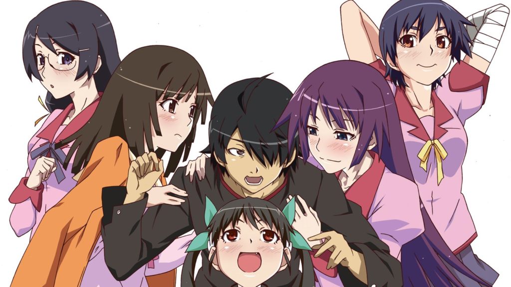 What Monogatari Series Light Novels Haven’t Been Animated Yet?