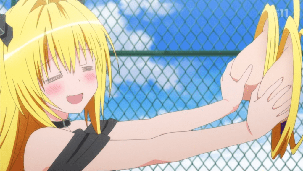 Where Does The To Love-Ru Anime End in The Manga?