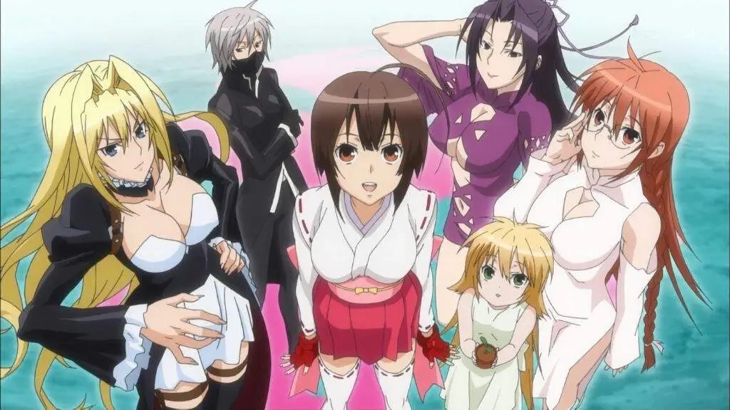 Where Does The Sekirei Anime End in The Manga?